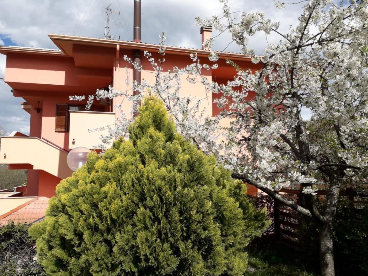 Notti Rosa B&B Μέλφι Εξωτερικό φωτογραφία